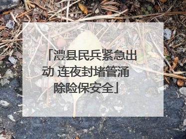 澧县民兵紧急出动 连夜封堵管涌除险保安全