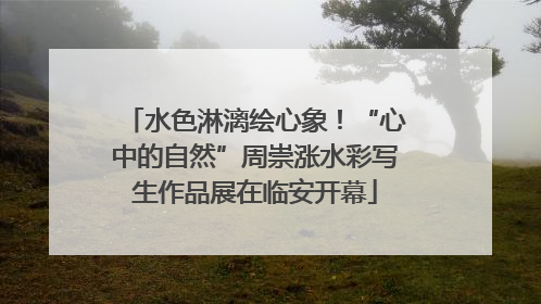 水色淋漓绘心象！“心中的自然”周崇涨水彩写生作品展在临安开幕