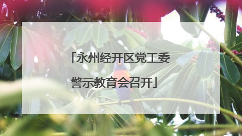 永州经开区党工委警示教育会召开