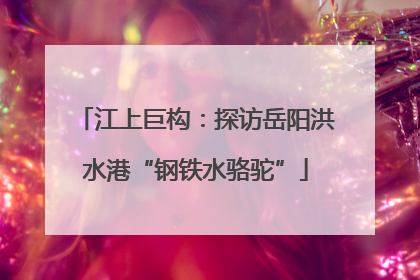 江上巨构：探访岳阳洪水港“钢铁水骆驼”
