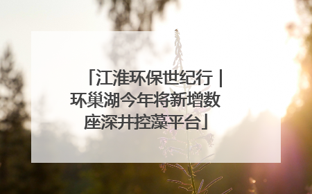 江淮环保世纪行｜环巢湖今年将新增数座深井控藻平台
