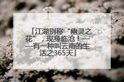 江湖别称“幽灵之花”,现身临沧!——有一种叫云南的生活之365天