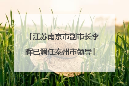 江苏南京市副市长李晖已调任泰州市领导