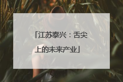 江苏泰兴：舌尖上的未来产业