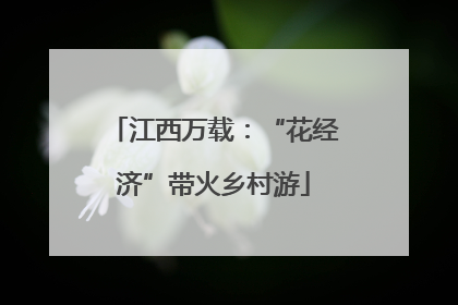 江西万载：“花经济”带火乡村游