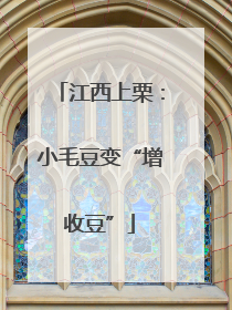 江西上栗：小毛豆变“增收豆”