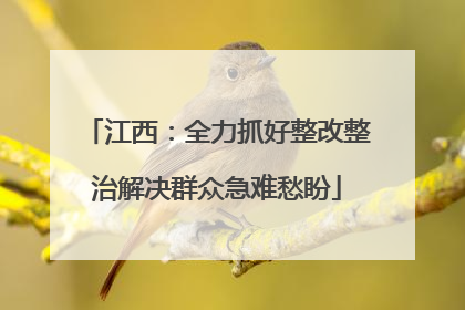 江西：全力抓好整改整治解决群众急难愁盼