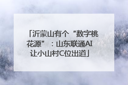 沂蒙山有个“数字桃花源”：山东联通AI让小山村C位出道