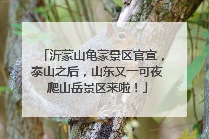 沂蒙山龟蒙景区官宣，泰山之后，山东又一可夜爬山岳景区来啦！