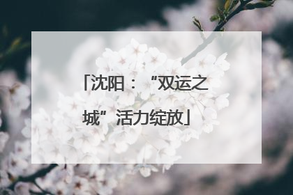 沈阳：“双运之城”活力绽放
