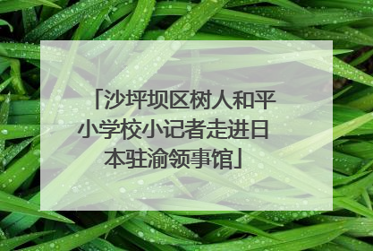 沙坪坝区树人和平小学校小记者走进日本驻渝领事馆