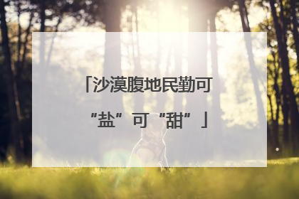 沙漠腹地民勤可“盐”可“甜”