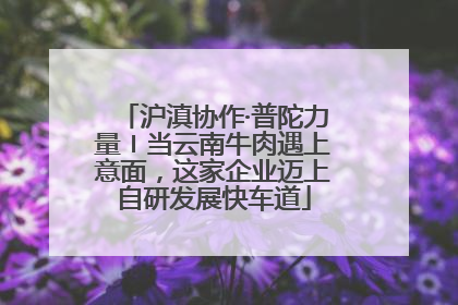 沪滇协作·普陀力量〡当云南牛肉遇上意面，这家企业迈上自研发展快车道