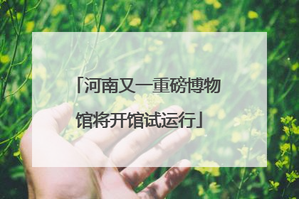 河南又一重磅博物馆将开馆试运行