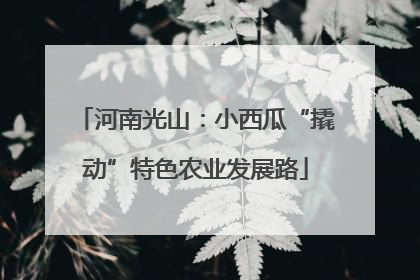 河南光山：小西瓜“撬动”特色农业发展路