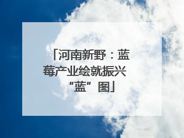 河南新野：蓝莓产业绘就振兴“蓝”图
