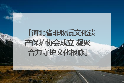 河北省非物质文化遗产保护协会成立 凝聚合力守护文化根脉