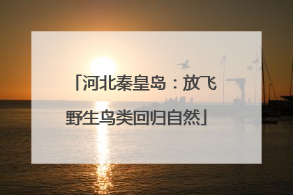 河北秦皇岛：放飞野生鸟类回归自然