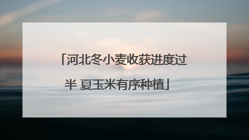 河北冬小麦收获进度过半 夏玉米有序种植