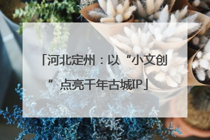 河北定州：以“小文创”点亮千年古城IP