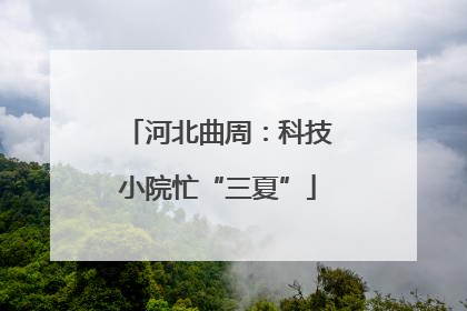 河北曲周：科技小院忙“三夏”
