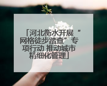 河北衡水开展“网格徒步踏查”专项行动 推动城市精细化管理