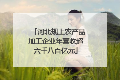 河北规上农产品加工企业年营收超六千八百亿元