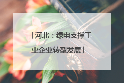 河北：绿电支撑工业企业转型发展