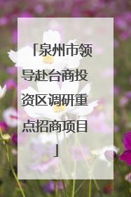 泉州市领导赴台商投资区调研重点招商项目