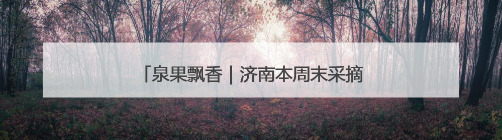 泉果飘香｜济南本周末采摘指南——“杏”好遇见你！