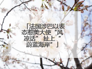 法国涉巴以表态惹美大使“风凉话” 扯上“蔚蓝海岸”