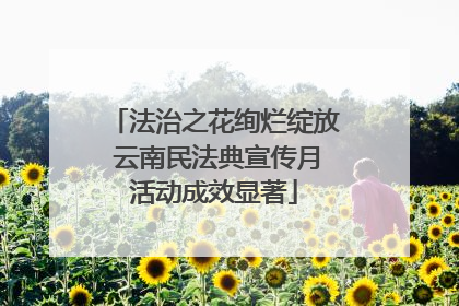 法治之花绚烂绽放 云南民法典宣传月活动成效显著