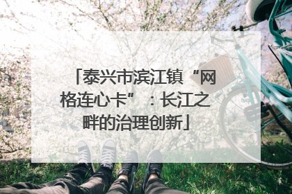 泰兴市滨江镇“网格连心卡”：长江之畔的治理创新