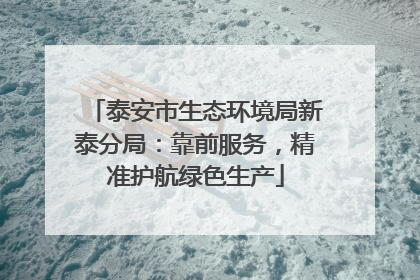 泰安市生态环境局新泰分局：靠前服务，精准护航绿色生产