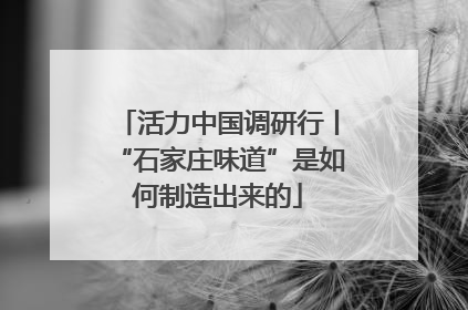 活力中国调研行丨“石家庄味道”是如何制造出来的