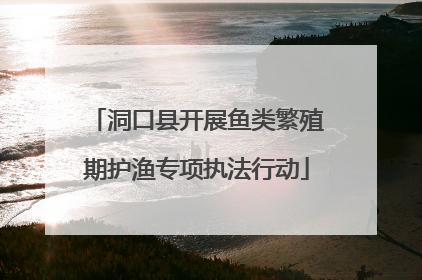 洞口县开展鱼类繁殖期护渔专项执法行动