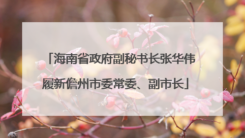 海南省政府副秘书长张华伟履新儋州市委常委、副市长