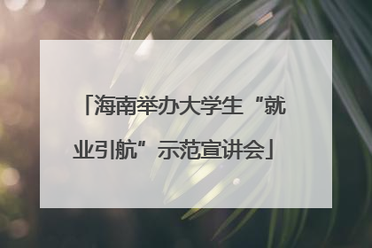 海南举办大学生“就业引航”示范宣讲会