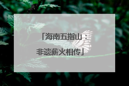 海南五指山：非遗薪火相传