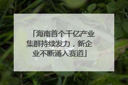 海南首个千亿产业集群持续发力，新企业不断涌入赛道