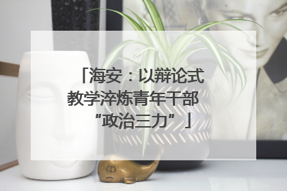 海安：以辩论式教学淬炼青年干部“政治三力”