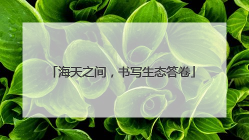 海天之间，书写生态答卷