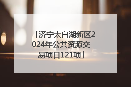 济宁太白湖新区2024年公共资源交易项目121项