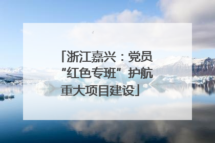 浙江嘉兴：党员“红色专班”护航重大项目建设
