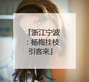 浙江宁波：杨梅挂枝引客来