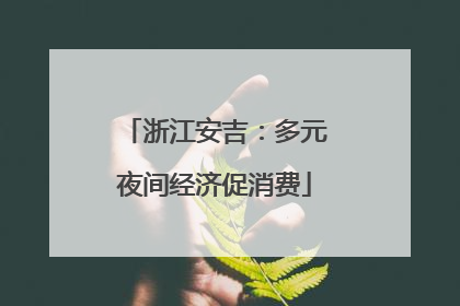 浙江安吉：多元夜间经济促消费