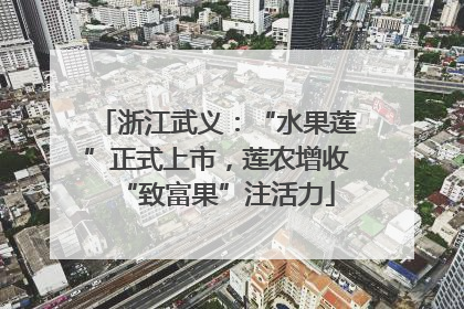 浙江武义：“水果莲”正式上市，莲农增收“致富果”注活力