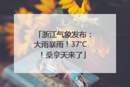 浙江气象发布：大雨暴雨！37℃！桑拿天来了