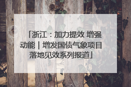 浙江：加力提效 增强动能｜增发国债气象项目落地见效系列报道