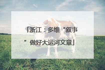浙江：多维“叙事”做好大运河文章